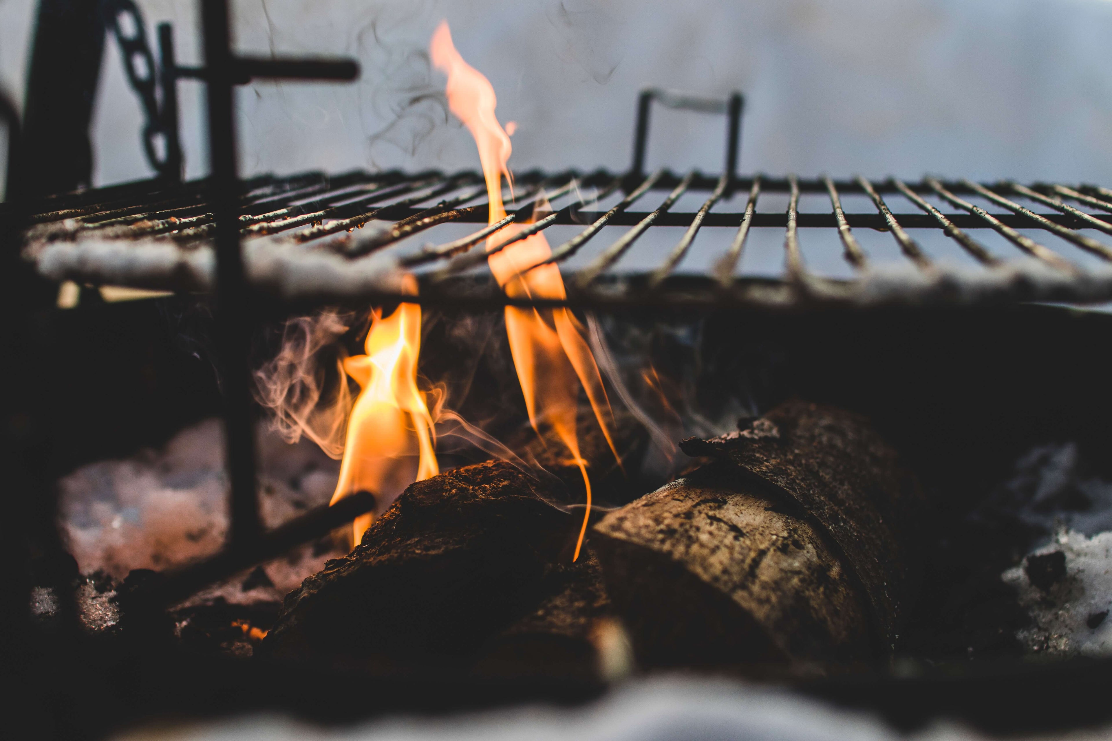 7 Rules for A Delicious Barbecue
