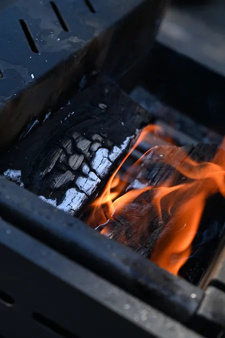Tromen Federal Grill - In Use Cooking