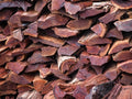 Authentic Argentine Quebracho Colorado Firewood - Your Flavorful Grilling Companion - Cholys
